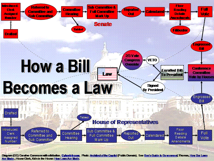 Blog How a Bill a Law